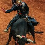 Sports Rush: Breaking the Mold in Sports Innovation