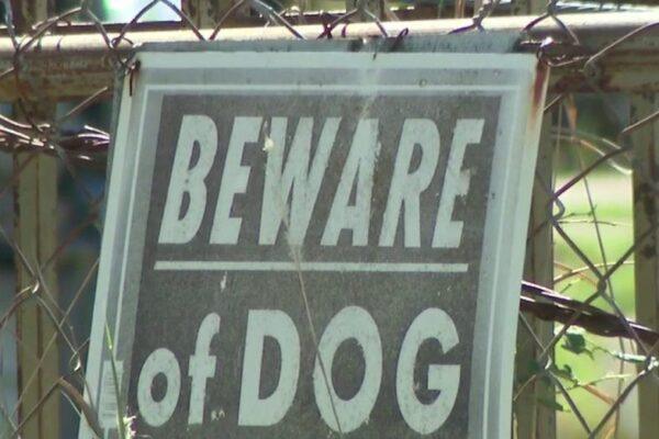 Caldwell County Dog Pack Launches Ongoing Attacks on Family Pets