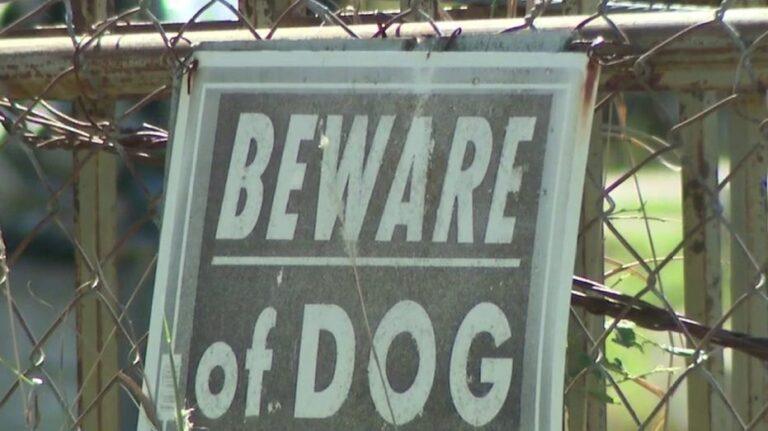 Caldwell County Dog Pack Launches Ongoing Attacks on Family Pets