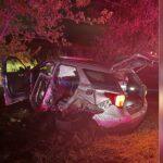 DWI Arrest: Woman Collides with Travis County Deputy's Patrol Vehicle