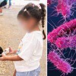 Dallas Health Officials Probe E. Coli Outbreak Linked to State Fair of Texas Petting Zoo