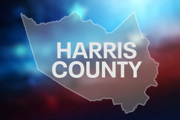 Texas 2026 Midterm Elections: Essential Harris County Sample Ballots and Key Races to Watch