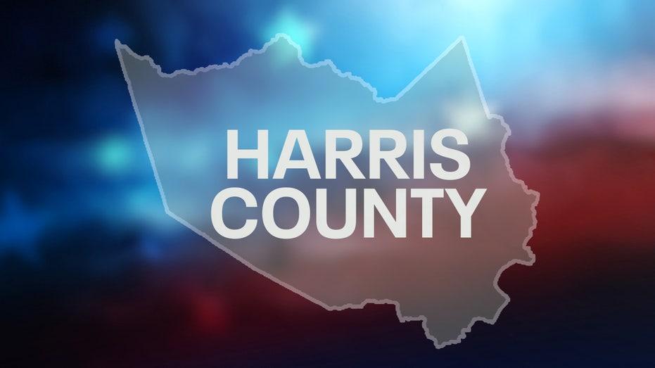 Texas 2026 Midterm Elections: Essential Harris County Sample Ballots and Key Races to Watch