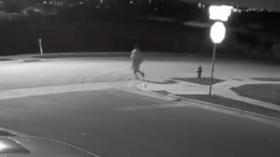 Teenager Assaulted While Walking Dog in Round Rock; Police on the Hunt for Person of Interest