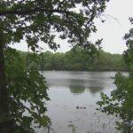 Authorities Launch Investigation After Body Discovered in Lady Bird Lake