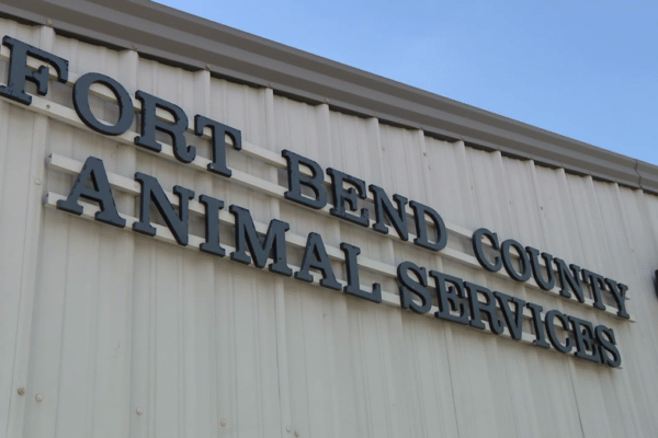 Generous Donor Contributes $3,000 to Fort Bend Animal Shelter to Support Local Animals