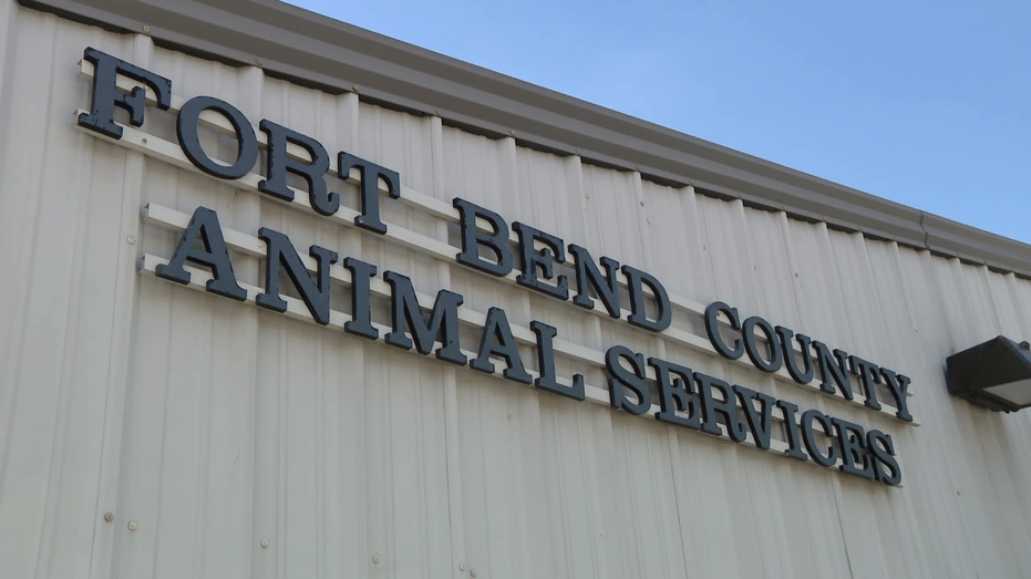 Generous Donor Contributes $3,000 to Fort Bend Animal Shelter to Support Local Animals