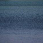 Body of Missing 16 Year Old Swimmer Found at Surfside Beach