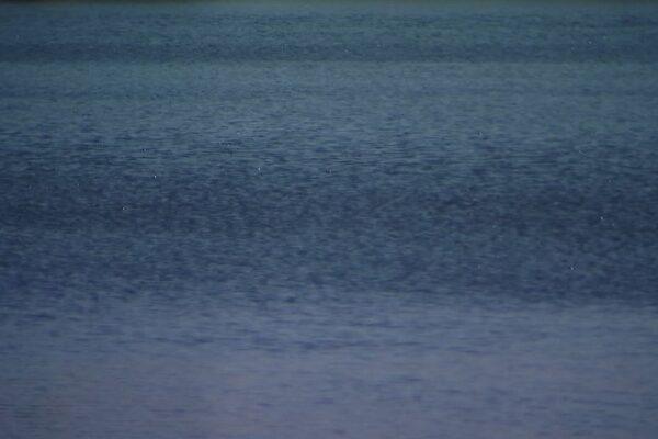 Body of Missing 16 Year Old Swimmer Found at Surfside Beach